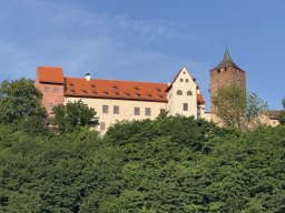 Mainschwimmen Juni 2026